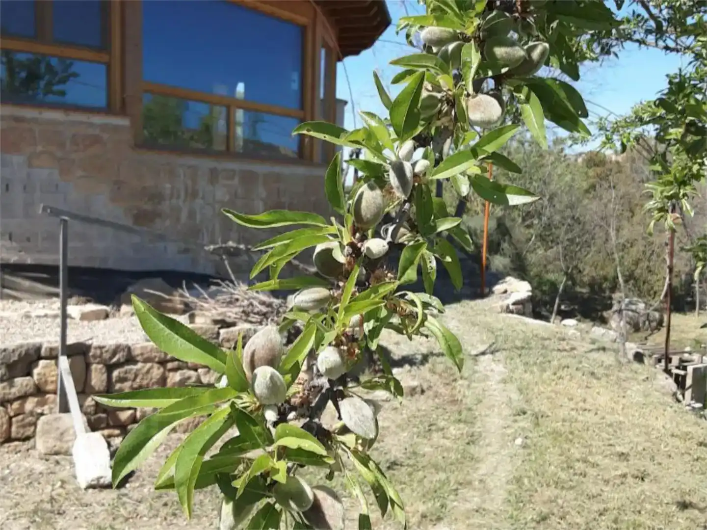 Garten von Country house zum Verkauf in Caspe mit Schwimmbad und Balkon