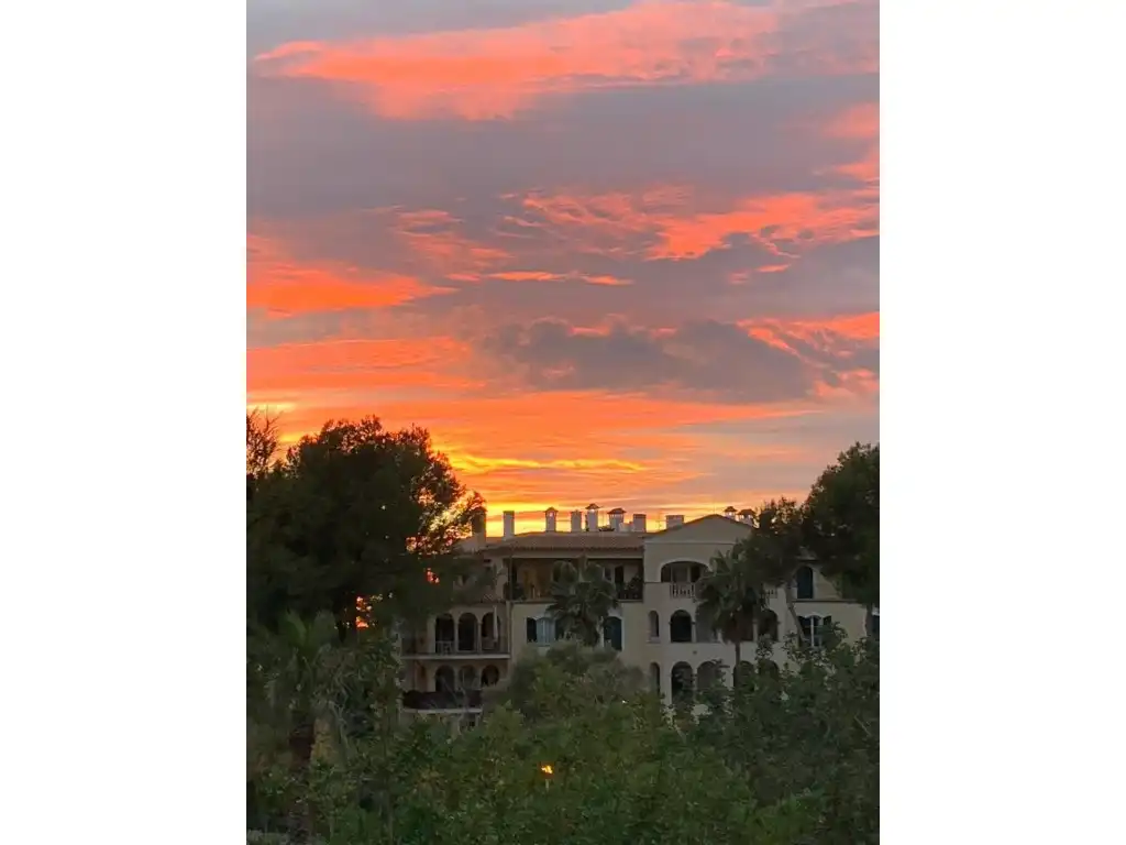 Vista exterior de Apartament de lloguer en Calvià amb Moblat