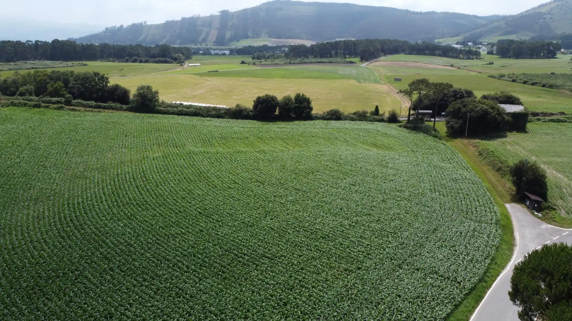Residencial en venda en Navia