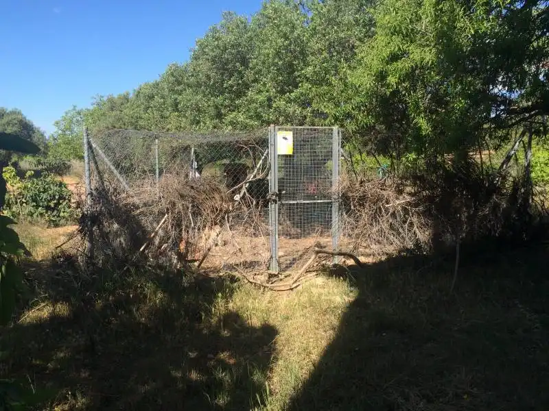 Country homes for sale in El Tancat - Mas d'en Gual
