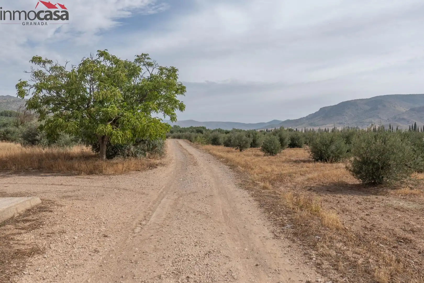 Casa o chalet en venta en Huéscar