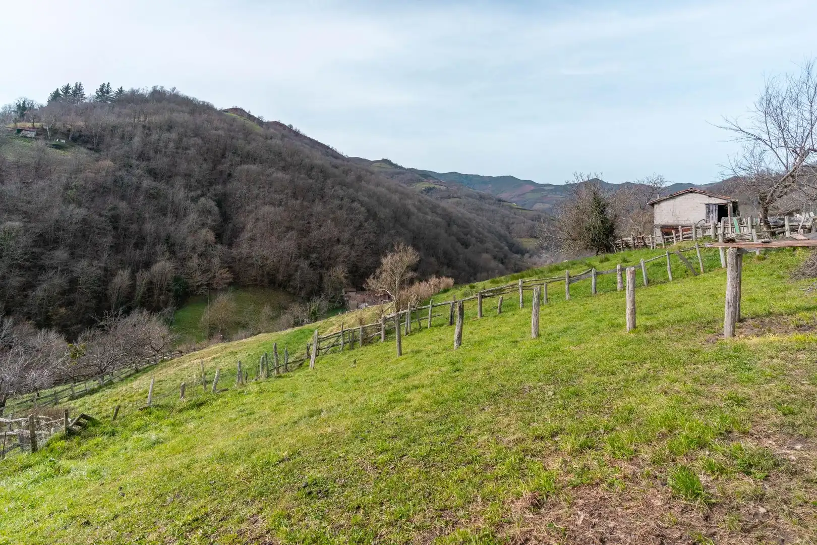 Casa o xalet en venda en Laviana amb Jardí privat