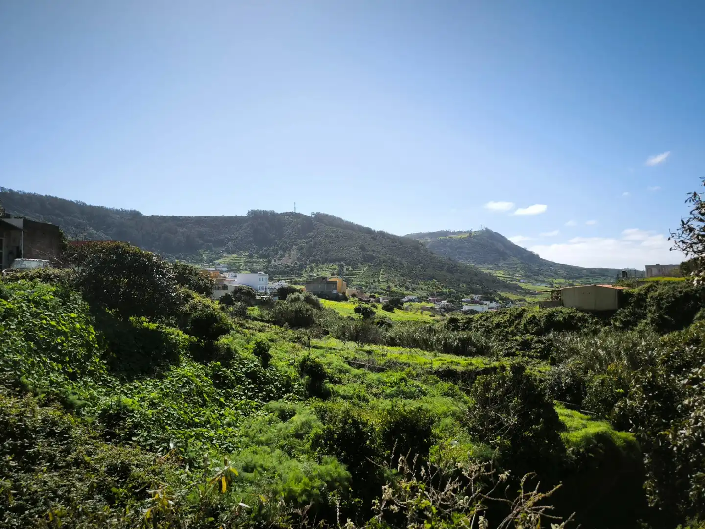 Rural land for sale in Camino el Roque 4, imagen 7