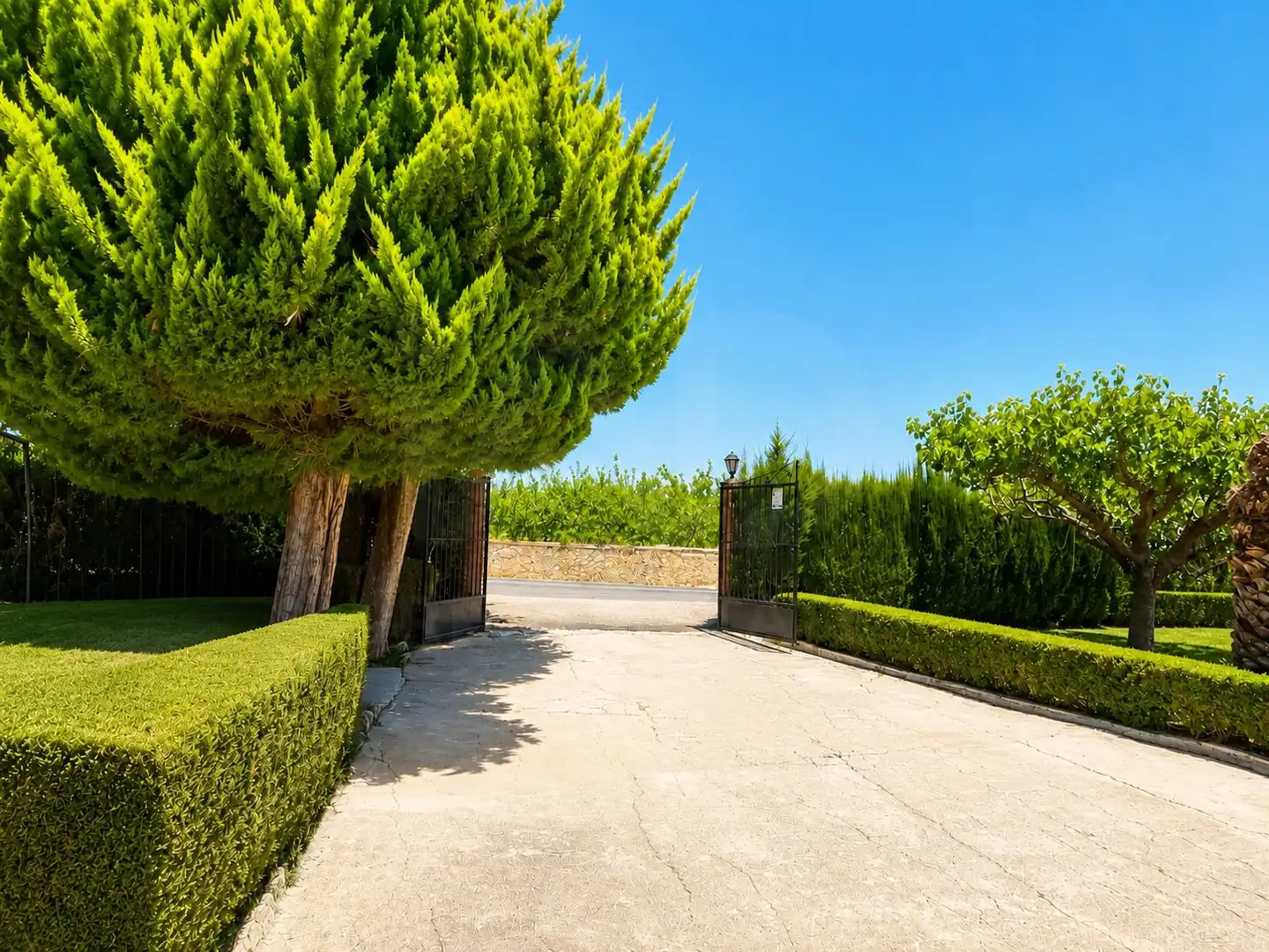 Casa en venta en Cieza, imagen 17