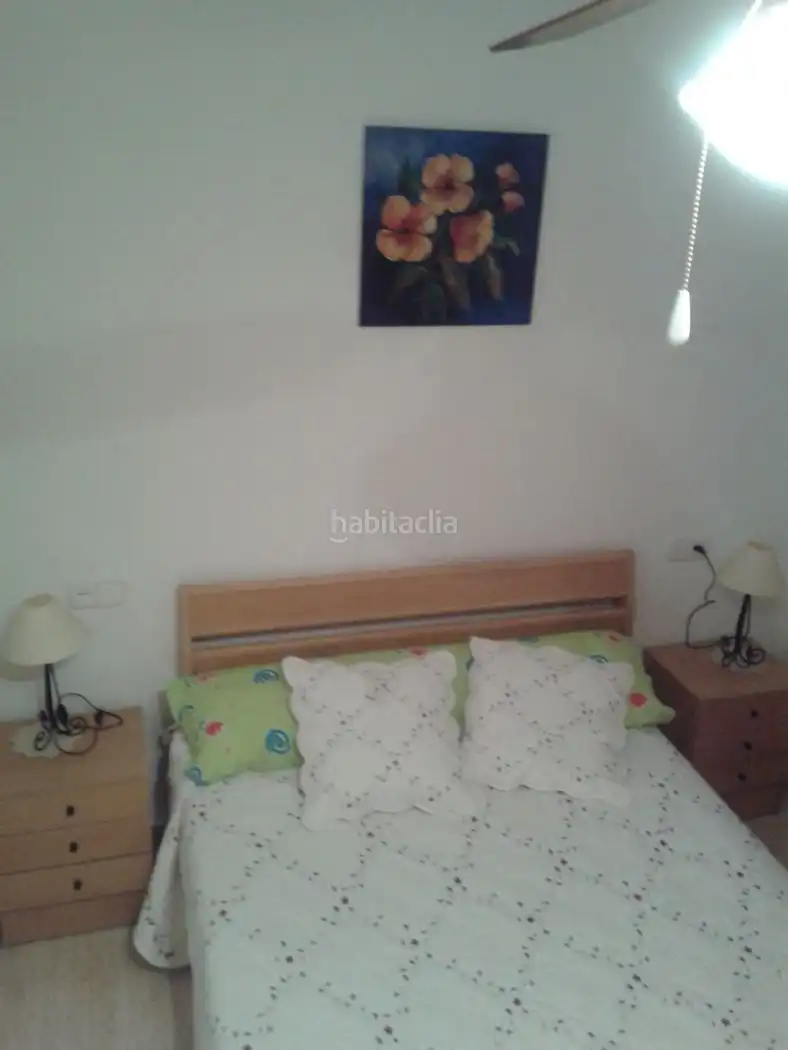 Bajo con piscina en alquiler en Urbanización Veneziola Golf 115, imagen 4