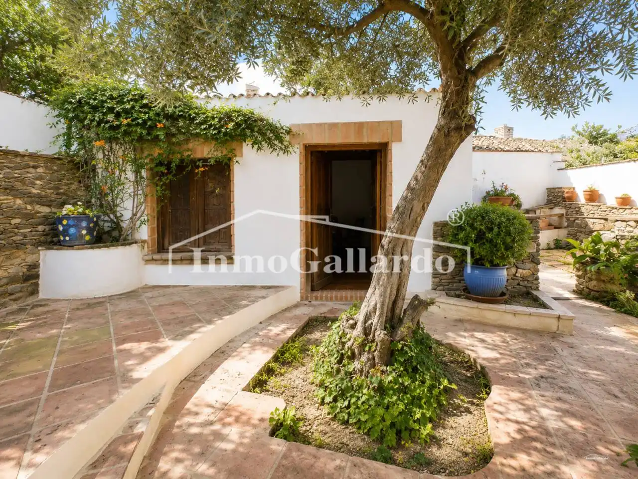 House with garden for sale in Macharaviaya, imagen 4