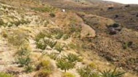 Foto 3 de Finca rústica en venda a Felix, Almería