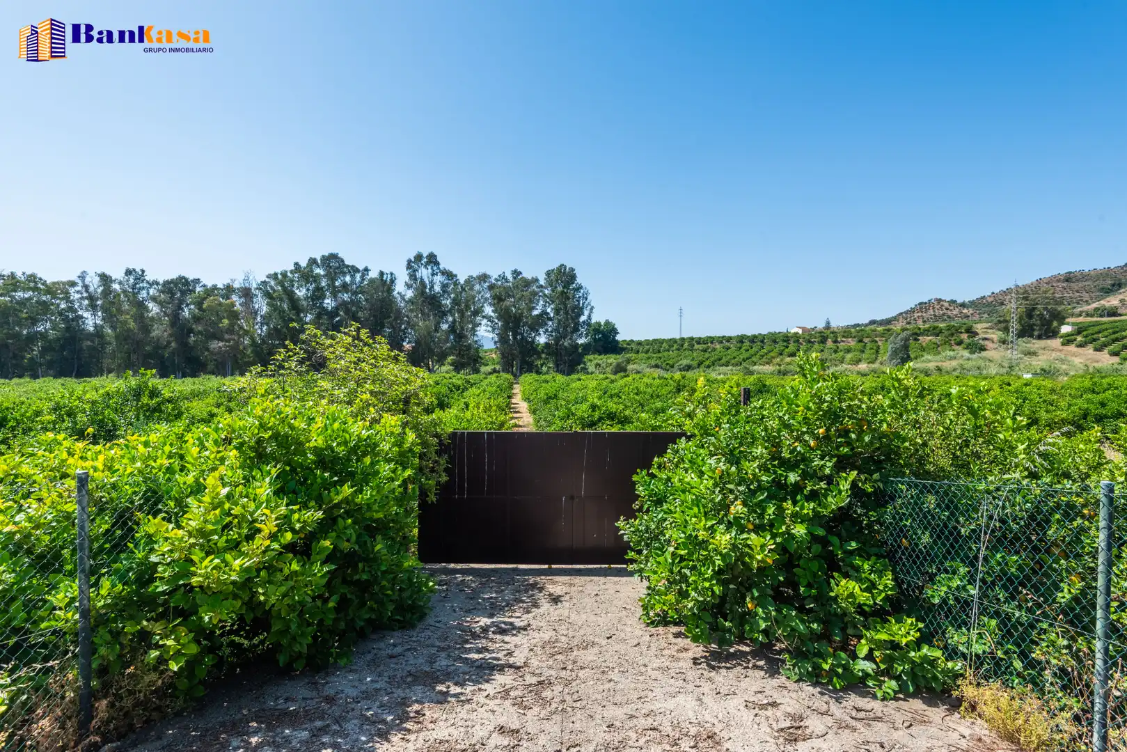 Jardín de Terreno en venta en Pizarra