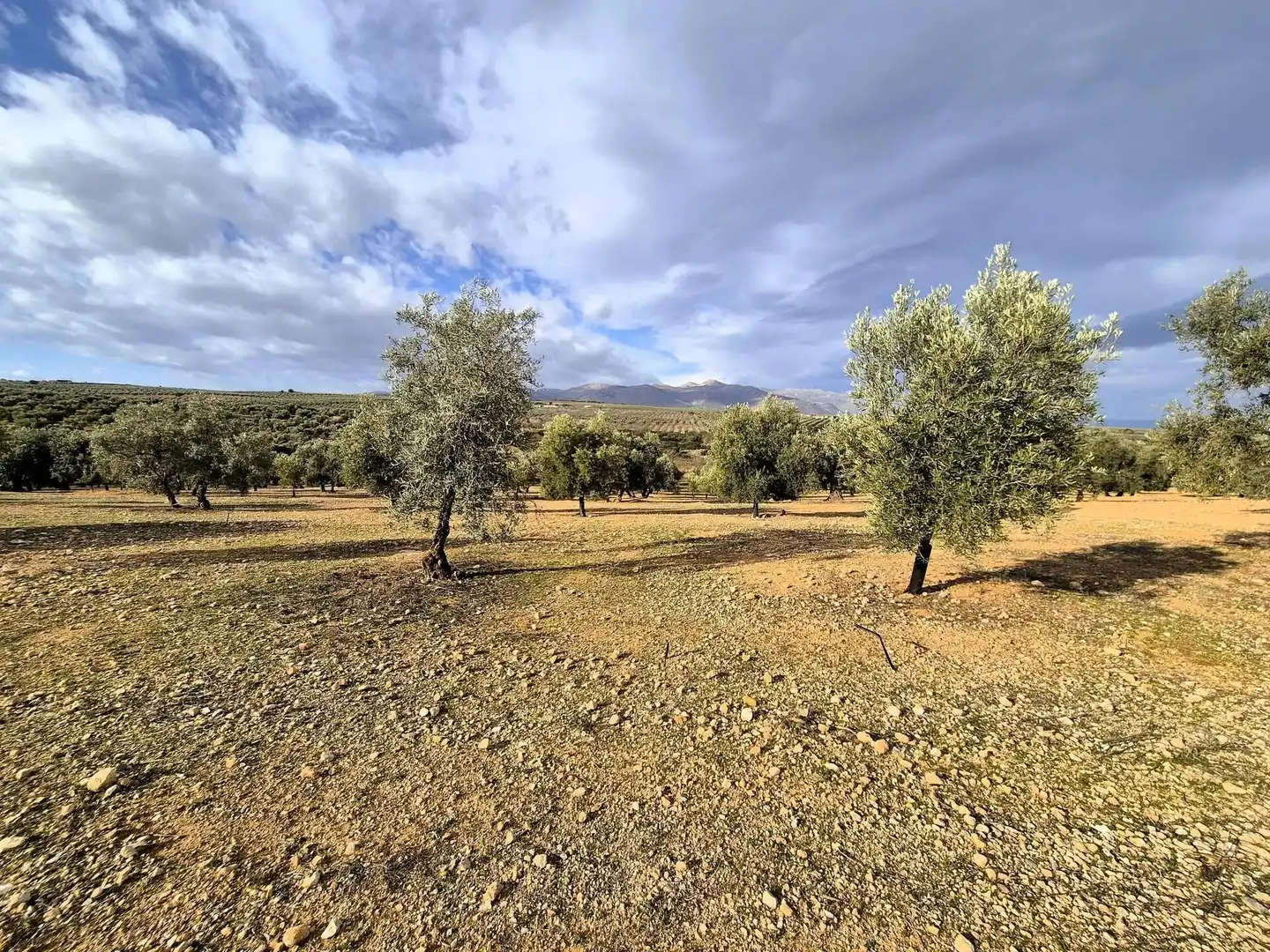 Terreno residencial en venta en Salar, imagen 4
