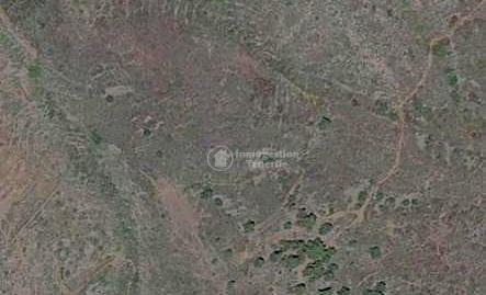 Foto 2 de Residencial de alquiler en Tf-565, Vilaflor de Chasna, Santa Cruz de Tenerife