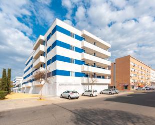 Vista exterior de Traster de lloguer en La Rinconada amb Alarma