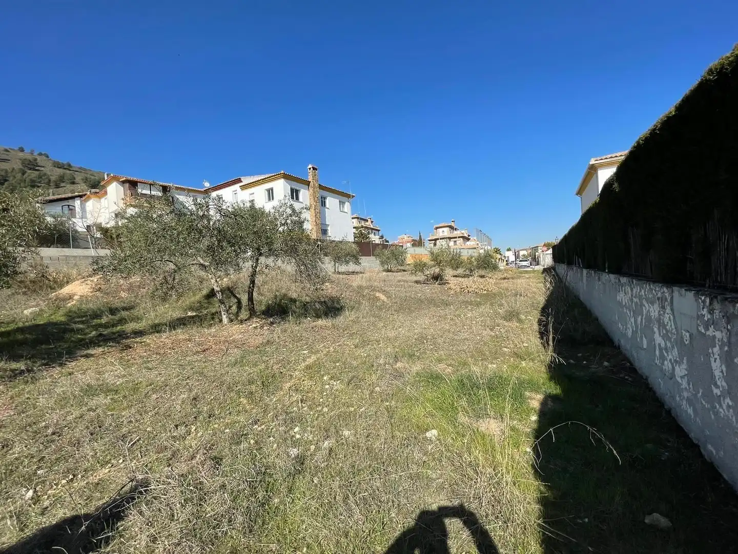 Terrenos y solares en venta en Centro de Albolote, imagen 11