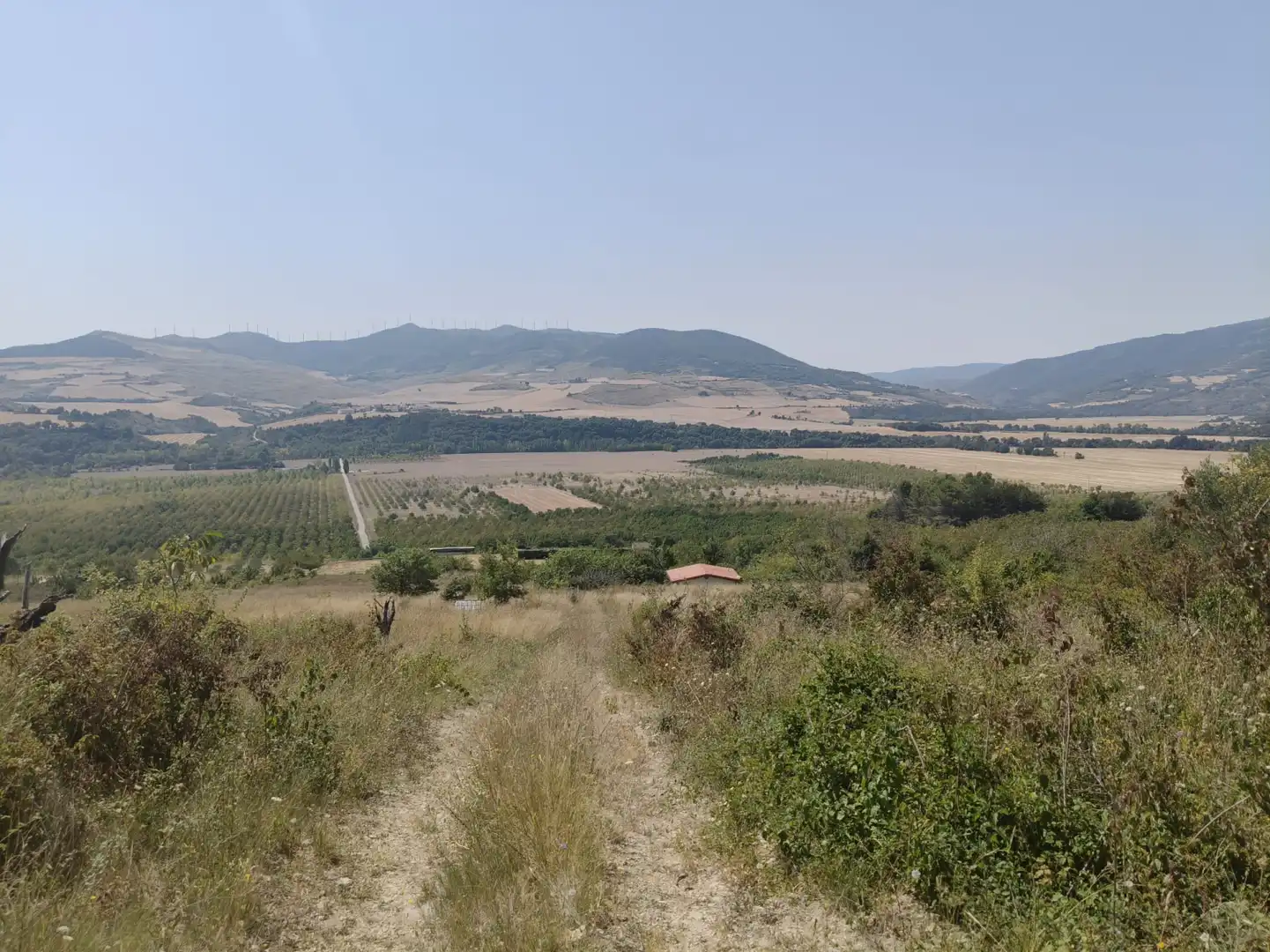 Rural land for sale in Etxauri - POLIGONO 1 PARCELA 305 ETXAURI, imagen 2