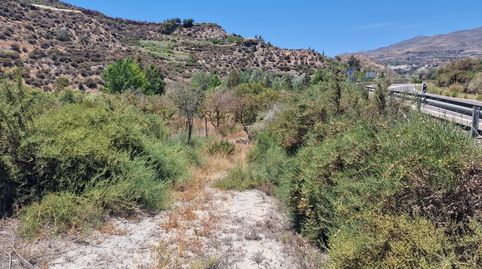 Terreno 3500 m² en Canjayar, Paraje Río Chico, vallado con agua de acequia y muy buen acceso, immagine 3