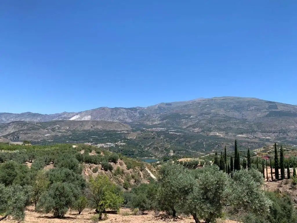 Terreno residencial en venta en Las Flores - Huerta, imagen 14