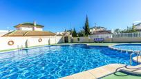 Piscina de Casa o xalet en venda en Torrevieja amb Moblat