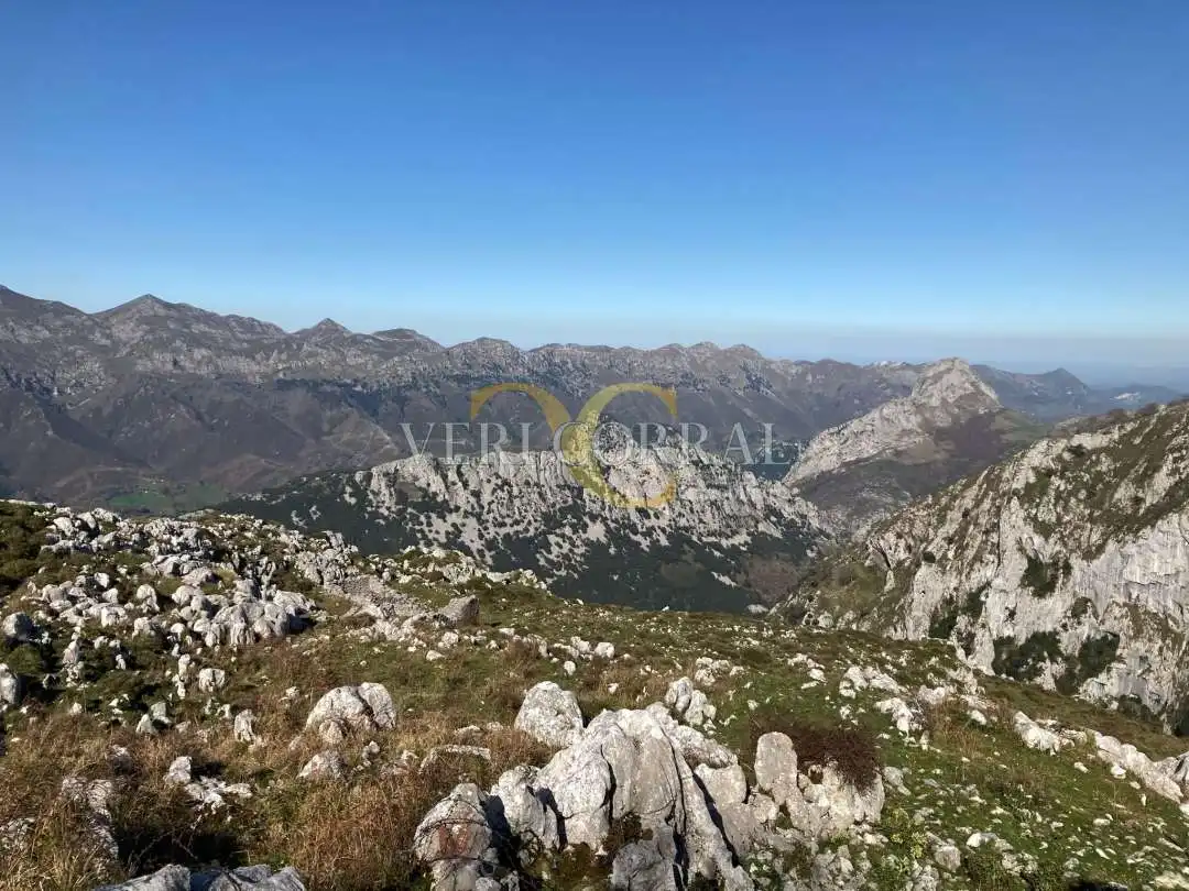Casa o chalet en venta en Peñamellera Alta con Calefacción y Amueblado