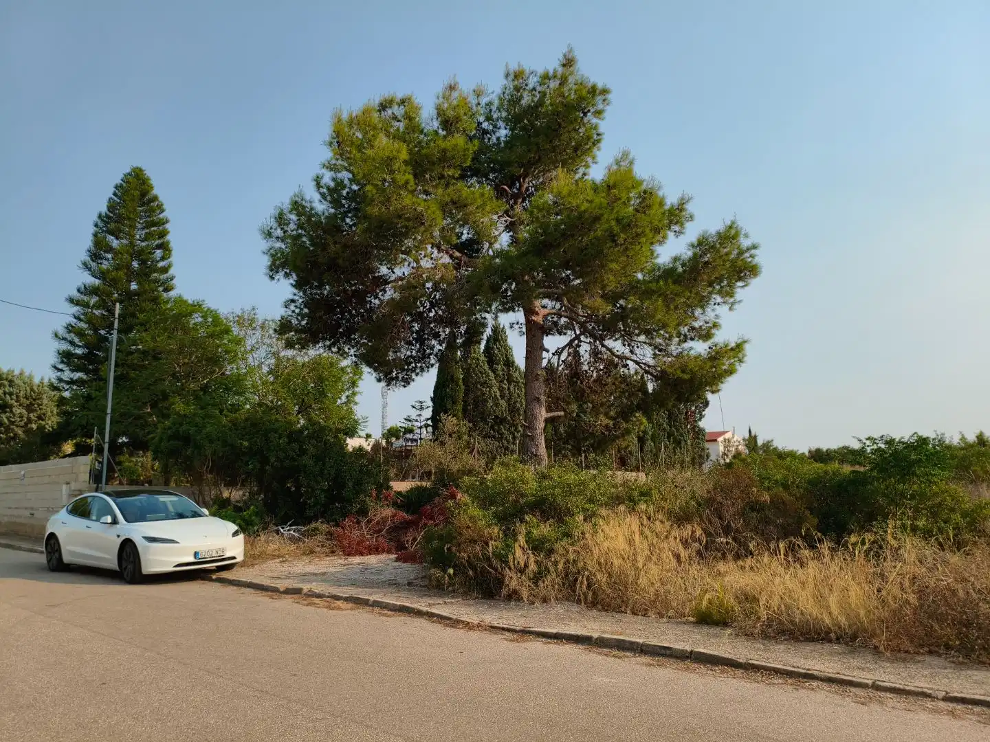Terreno residencial en venta en C/ Gandia 825, imagen 6