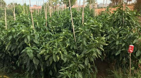 Photo 3 of Land for sale in La Roureda, Barcelona