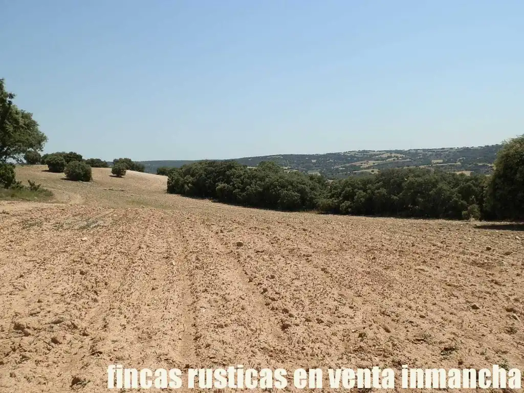 Rustikales Grundstück zum Verkauf in Alcocer, imagen 12