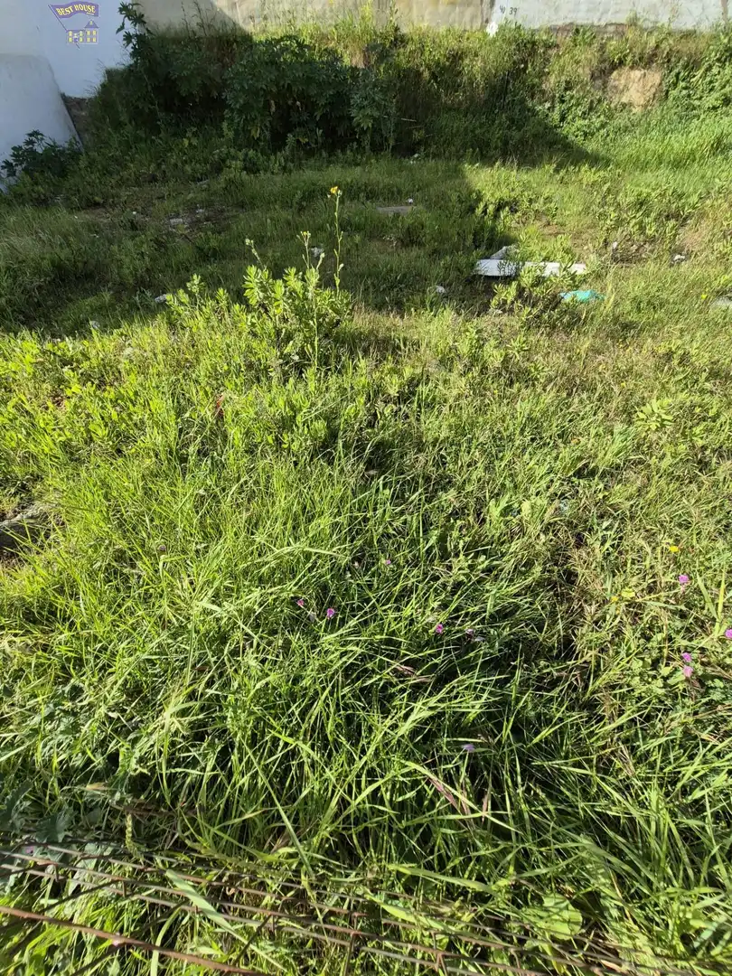 Terreno residencial en venta en Arcos de la Frontera, imagen 2
