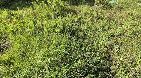 SE VENDE SOLAR URBANO EN ZONA DEL PORTICHUELO, imatge 2