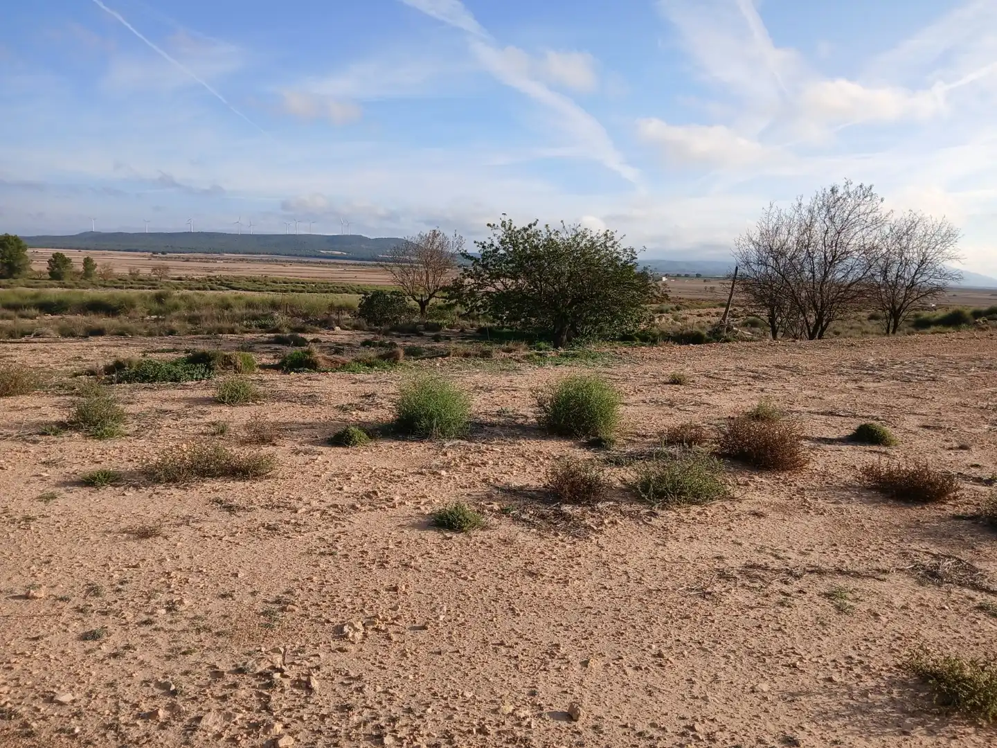 Residential land for sale in Yecla