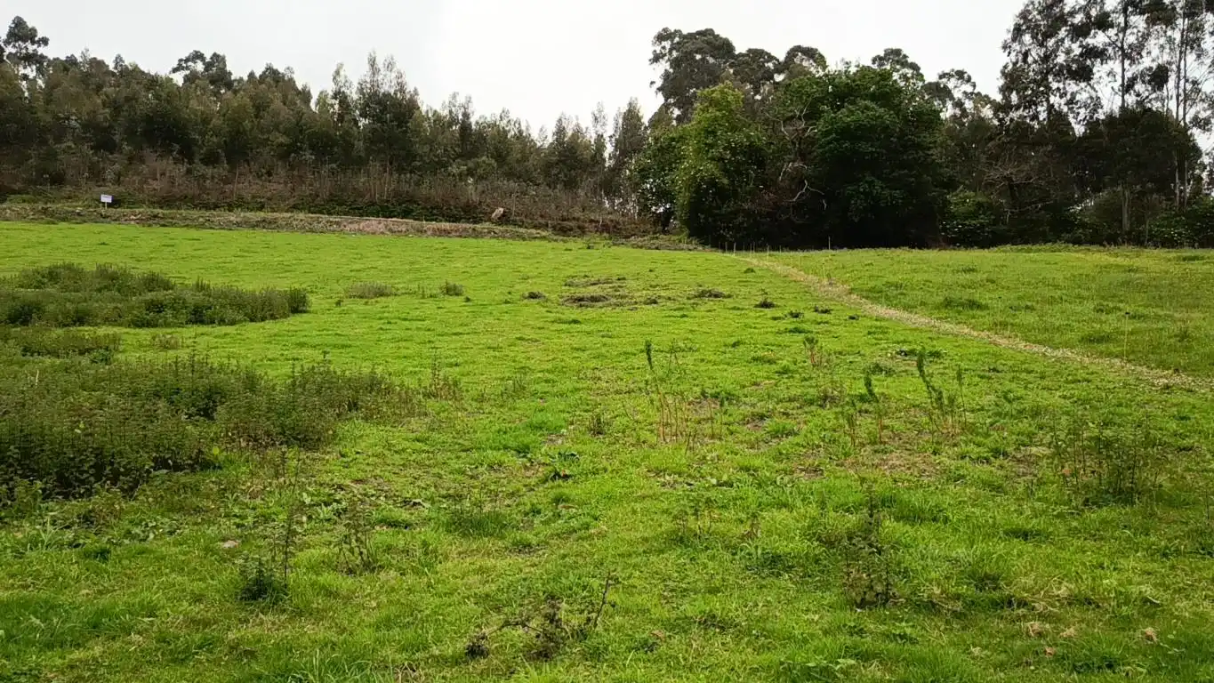 Lands and plots for sale in Lugar Laguna, imagen 3