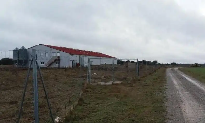 Industrial buildings for sale in Gajanejos