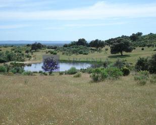 Country house zum verkauf in Coria