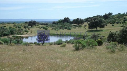 SE VENDE FINCA GANADERA DE UNAS 80 HAS EN LA ZONA DE CORIA