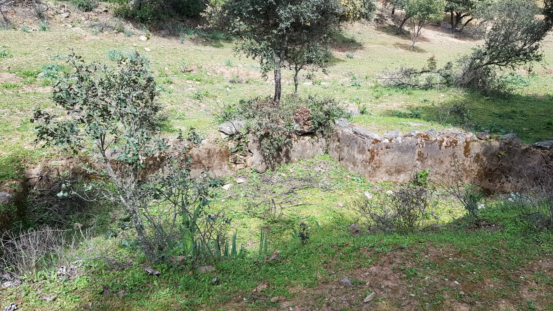 Terrenos y solares en venta en Extramuros Diseminados 5, imagen 77