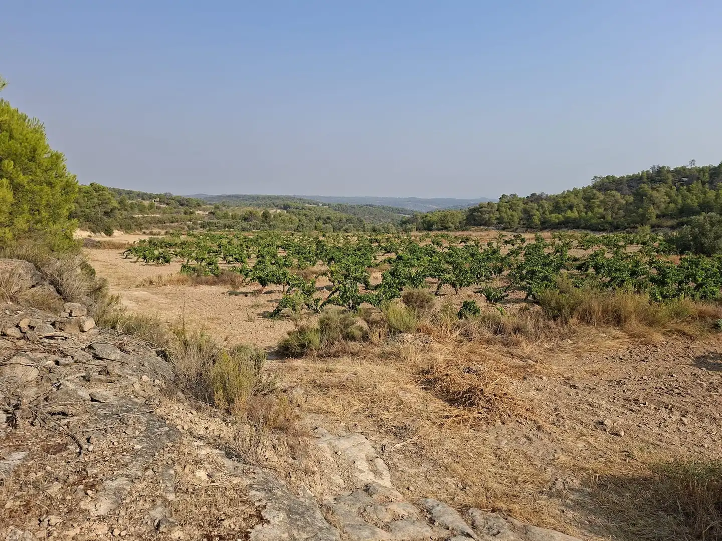 Terreno en venta en Nonaspe