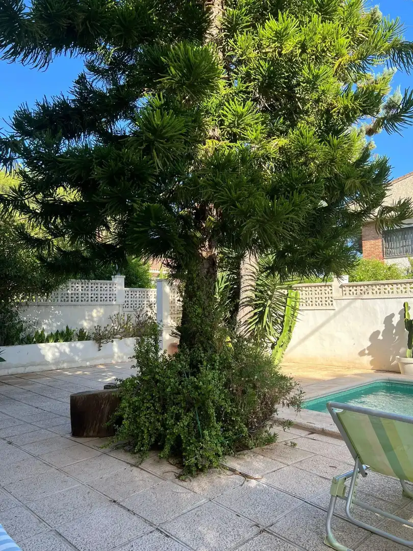 Jardín de Casa adosada en venta en Pilar de la Horadada con Calefacción, Jardín privado y Trastero