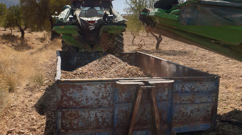 VENTA DE FINCA DE ALMENDROS T-M- GOR -GRANADA, imagen 5