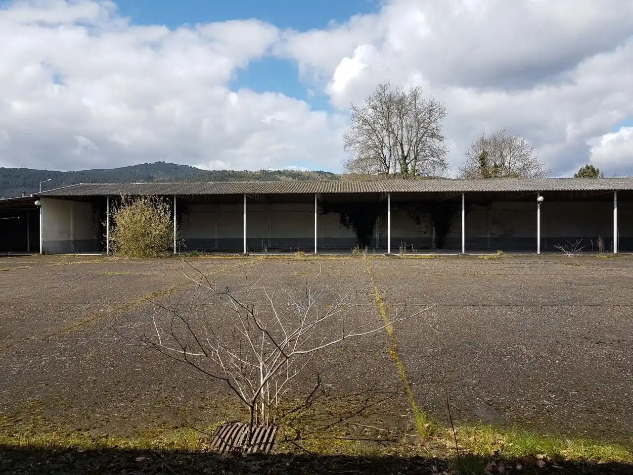 Industrial building to rent in San Rosendo, imagen 7