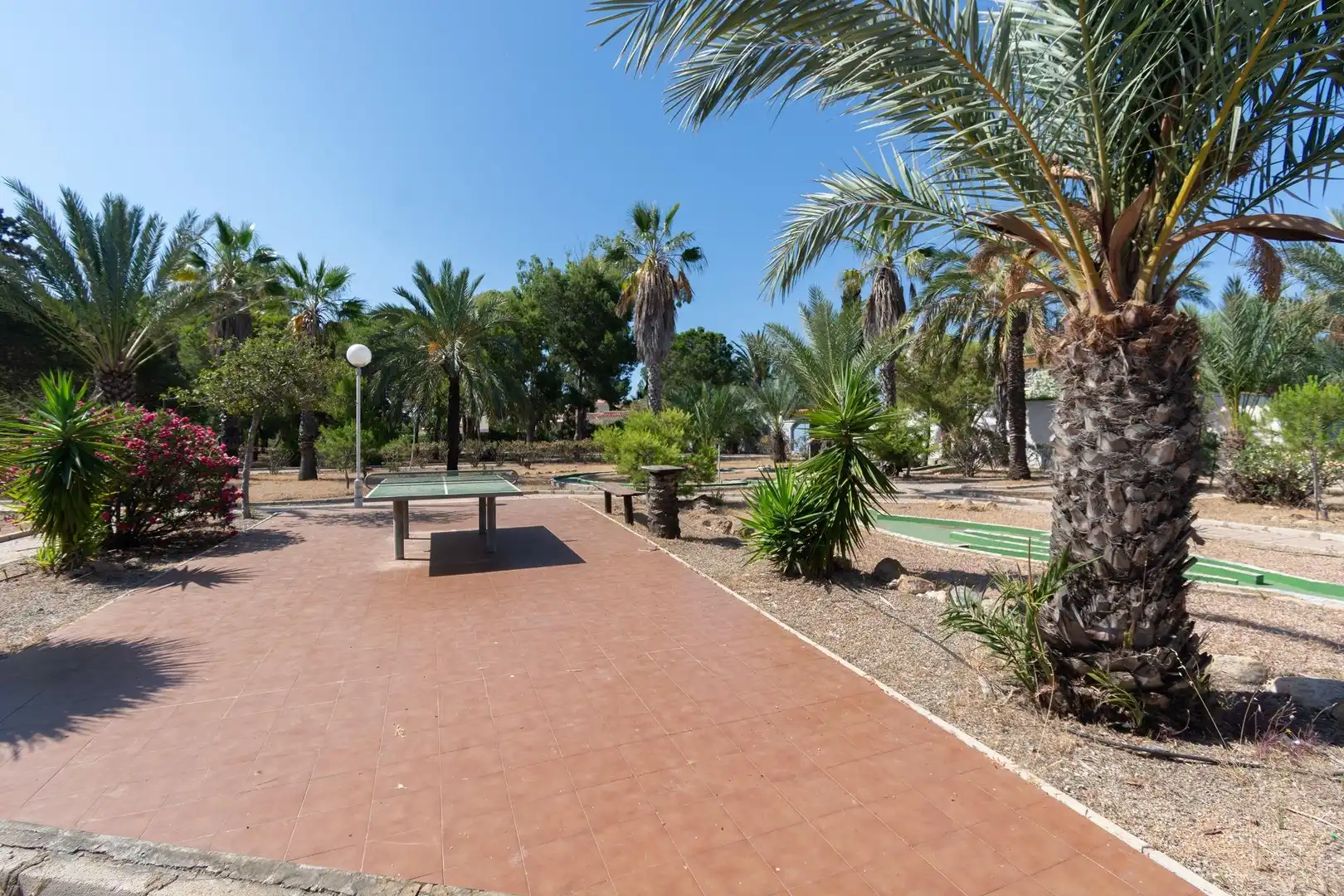 Jardín de Casa o chalet en venta en Cartagena con Terraza, Amueblado y Piscina comunitaria