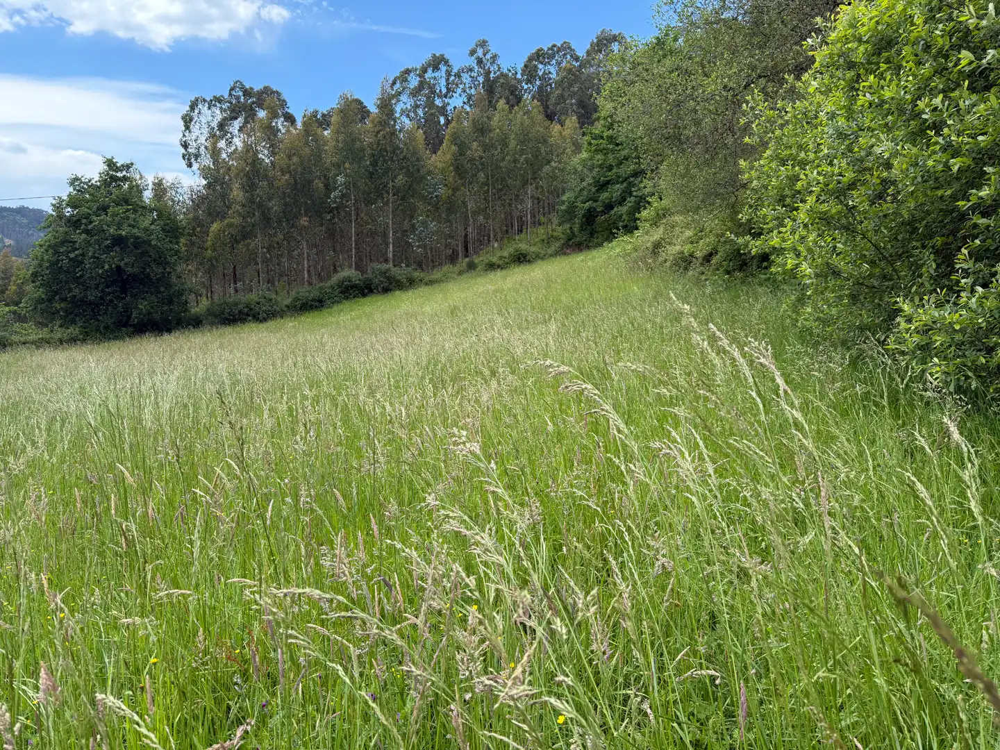 Terreno en venta en Barrio Jainko, Arrieta