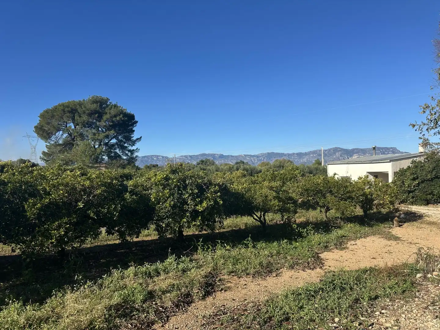Rural land for sale in Masdenverge, imagen 6