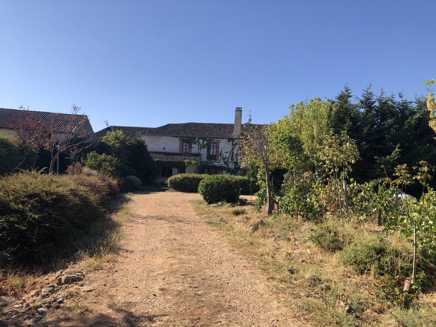 Jardí de Casa o xalet en venda en Muñoveros amb Calefacció i Piscina