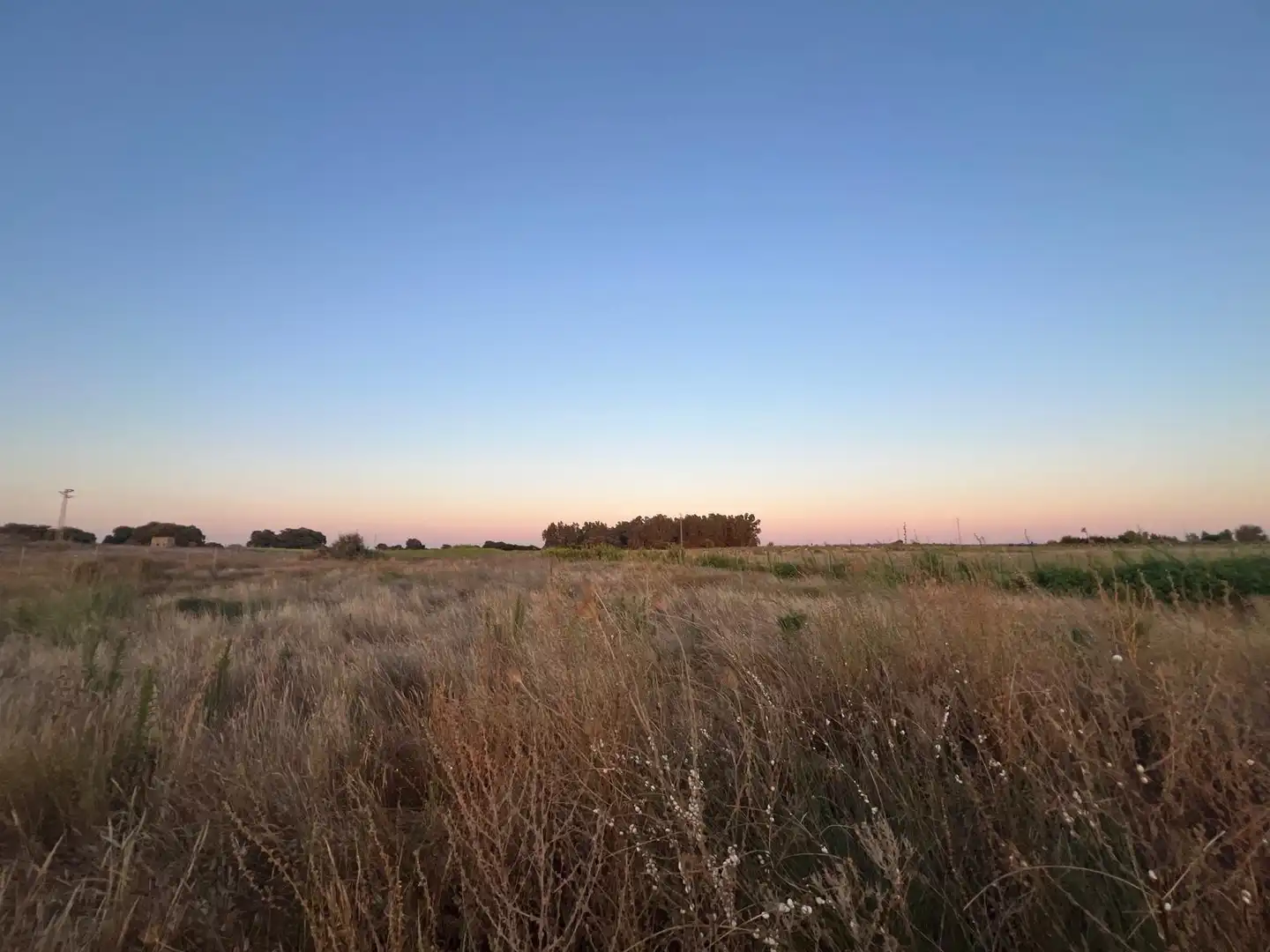 Terreny rústic en venda a Pedanías Norte, imagen 4