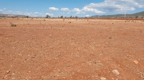 VENTA DE 3 HECTAREAS TIERRA DE CULTIVO EN ABRUCENA. ALMERIA, immagine 5