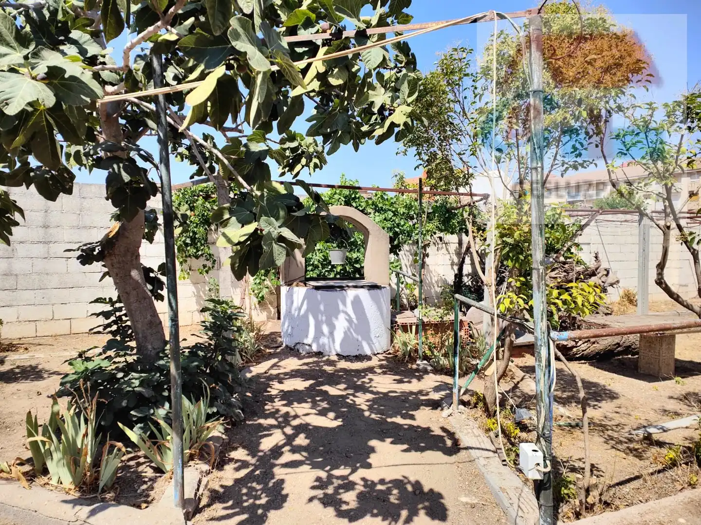 Jardí de Casa adosada en venda en Corral de Almaguer amb Jardí privat, Parquet i Terrassa