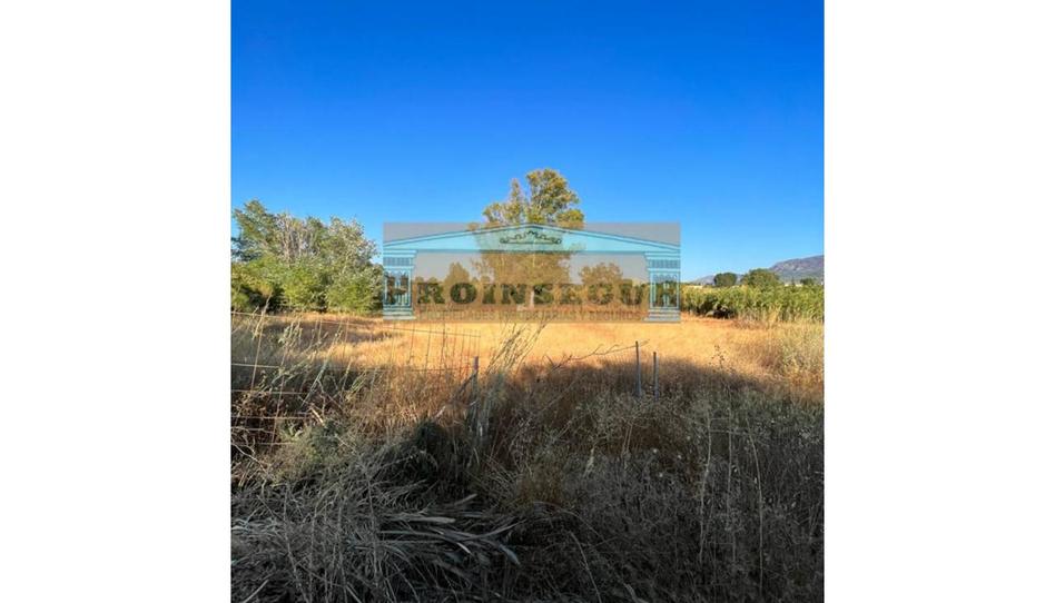 Foto 1 de Residencial de lloguer a Campiñuela, Centro, Málaga