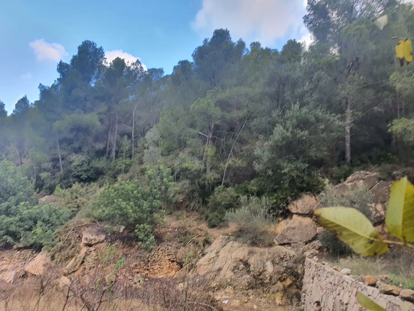 Terreno rústico en venta en Benifallet, imagen 3