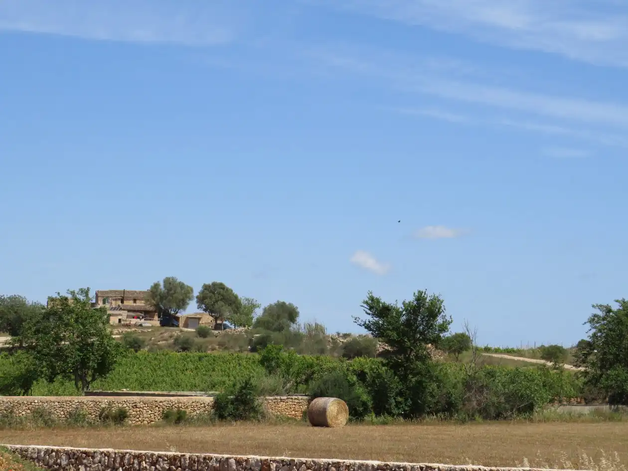Houses for sale in Manacor