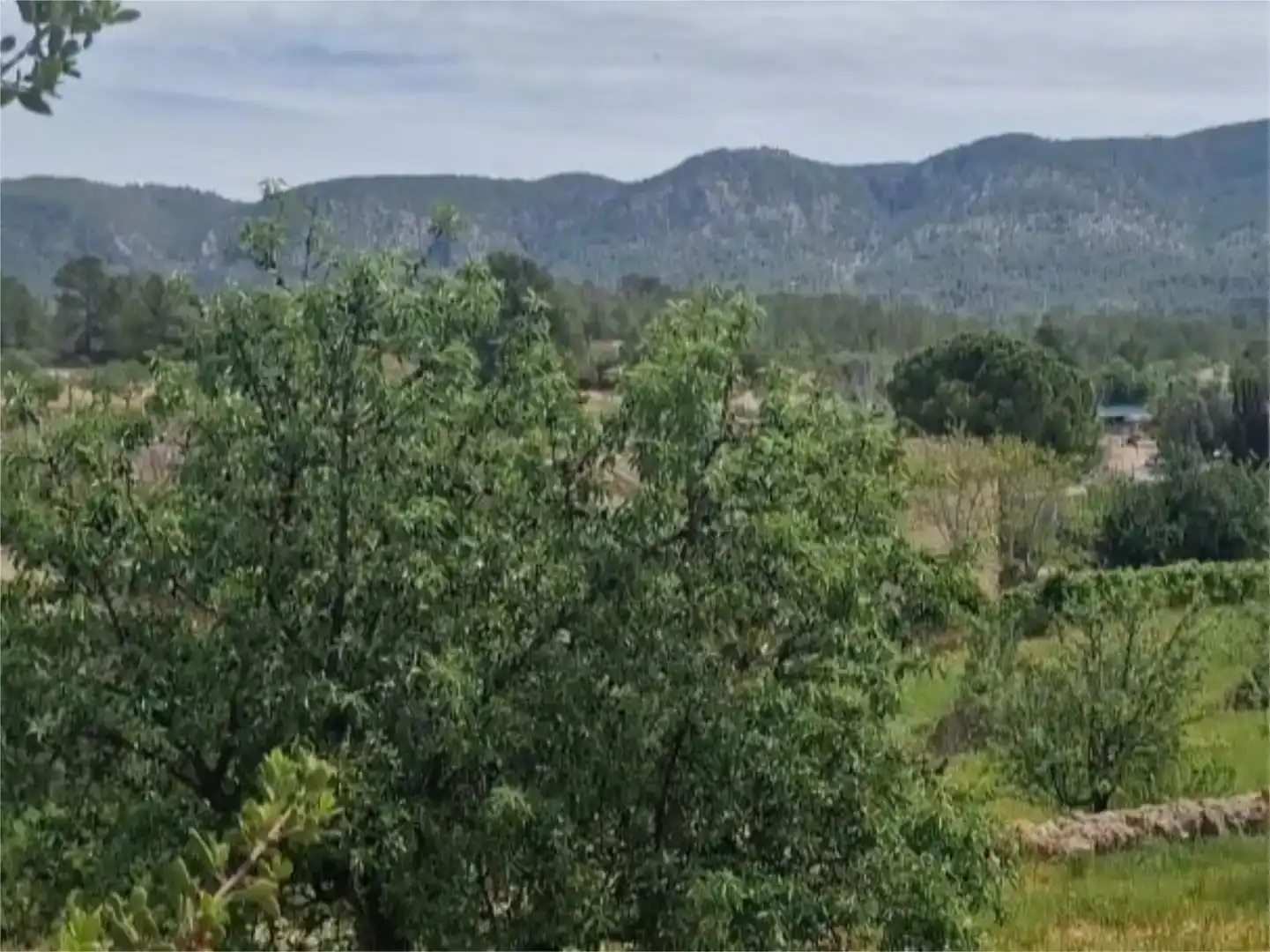 Piso en venta en Calvià pueblo