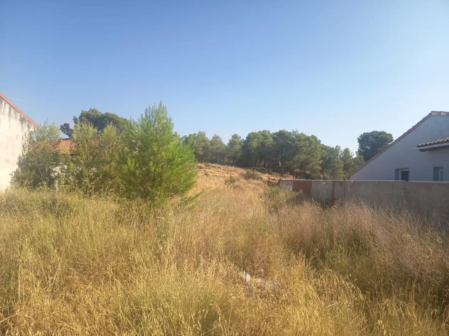 Terreny residencial en venda a Murillo El Cuende, imagen 6