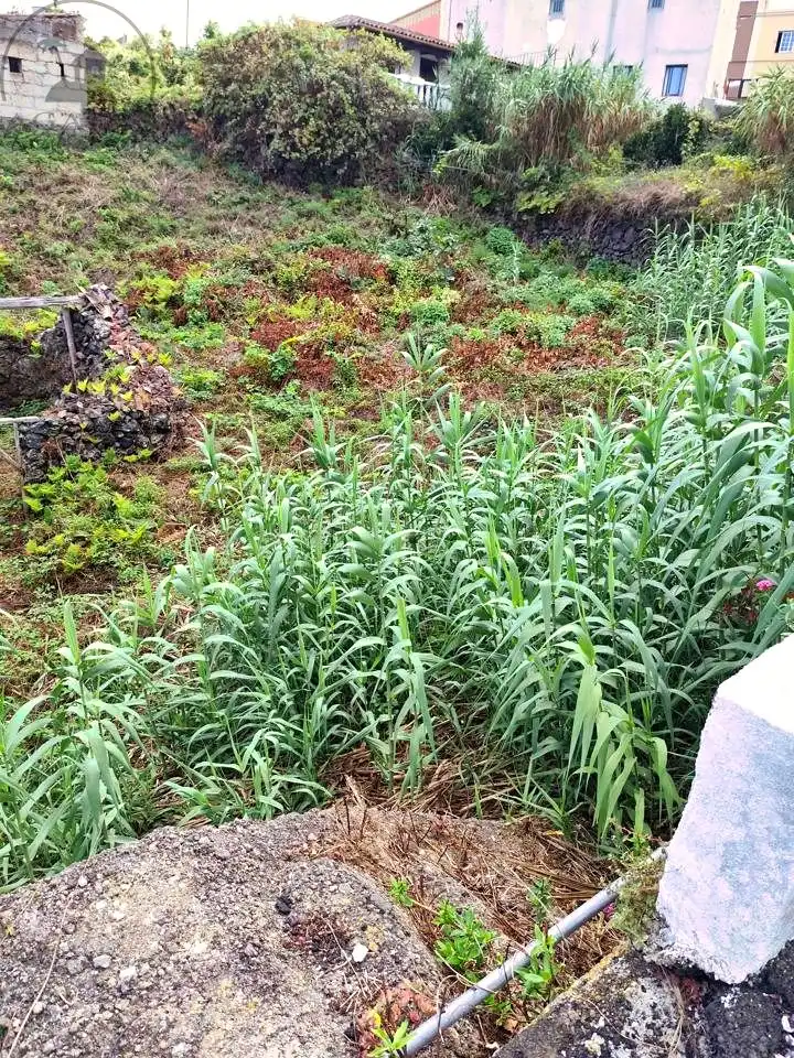 Terrenys i solars en venda a El Tanque, imagen 3