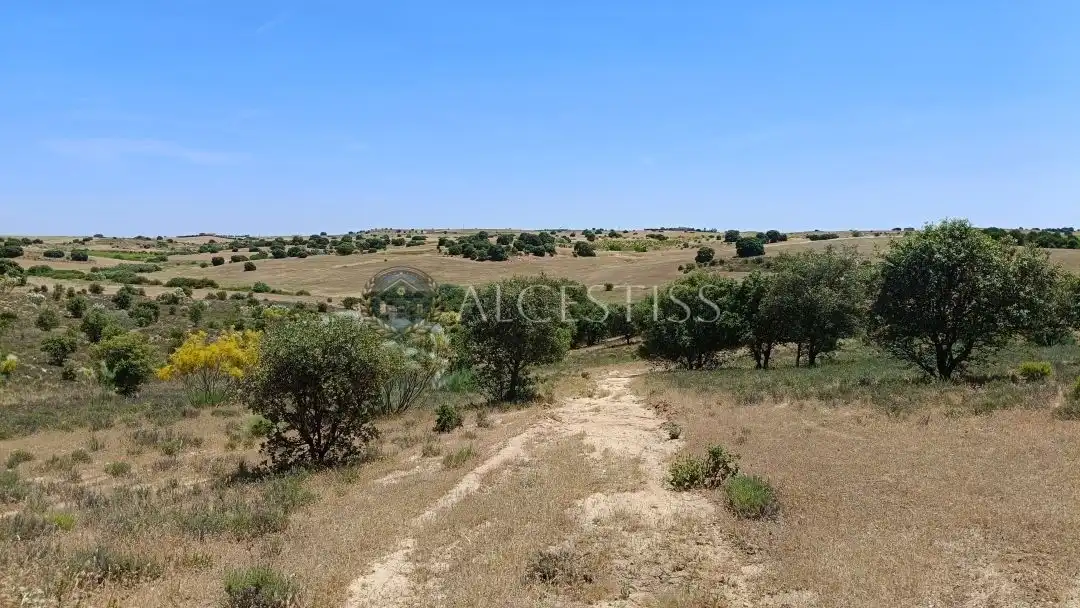 Terreno en venta en La Torre de Esteban Hambrán